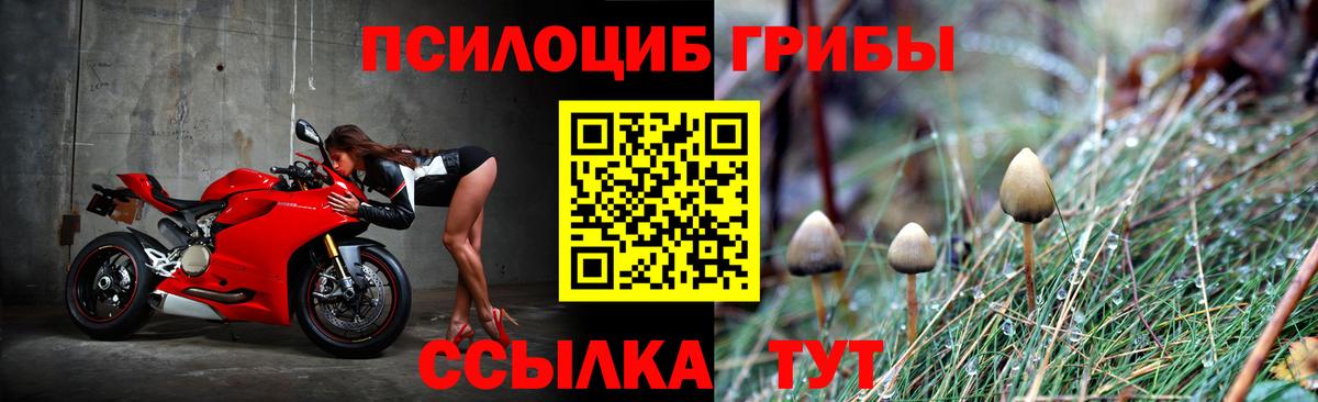 Псилоцибиновые грибы прущие грибы Саратов